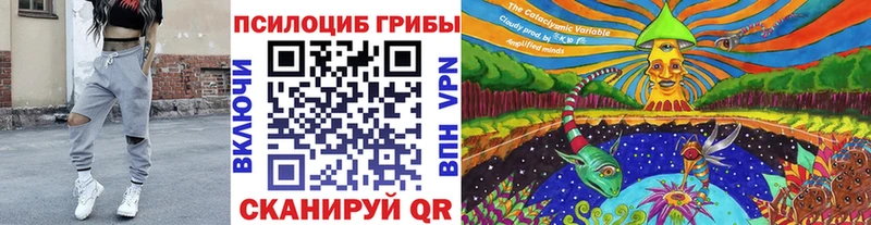 OMG ONION Мышкин Галлюциногенные грибы мицелий наркошоп